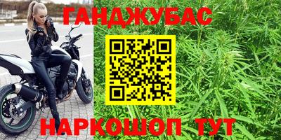 гашик Кинель