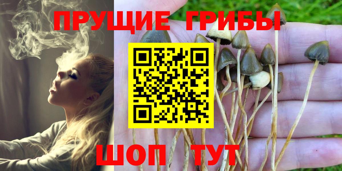 Королёв  Галлюциногенные грибы мицелий  Вход с VPN  Галлюциногенные грибы прущие грибы 