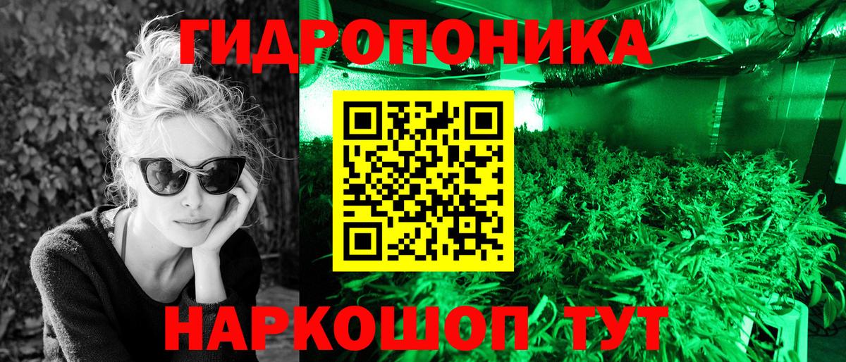 Канабис марихуана  Вход с VPN  Каннабис VHQ  Королёв  Конопля SATIVA & INDICA 